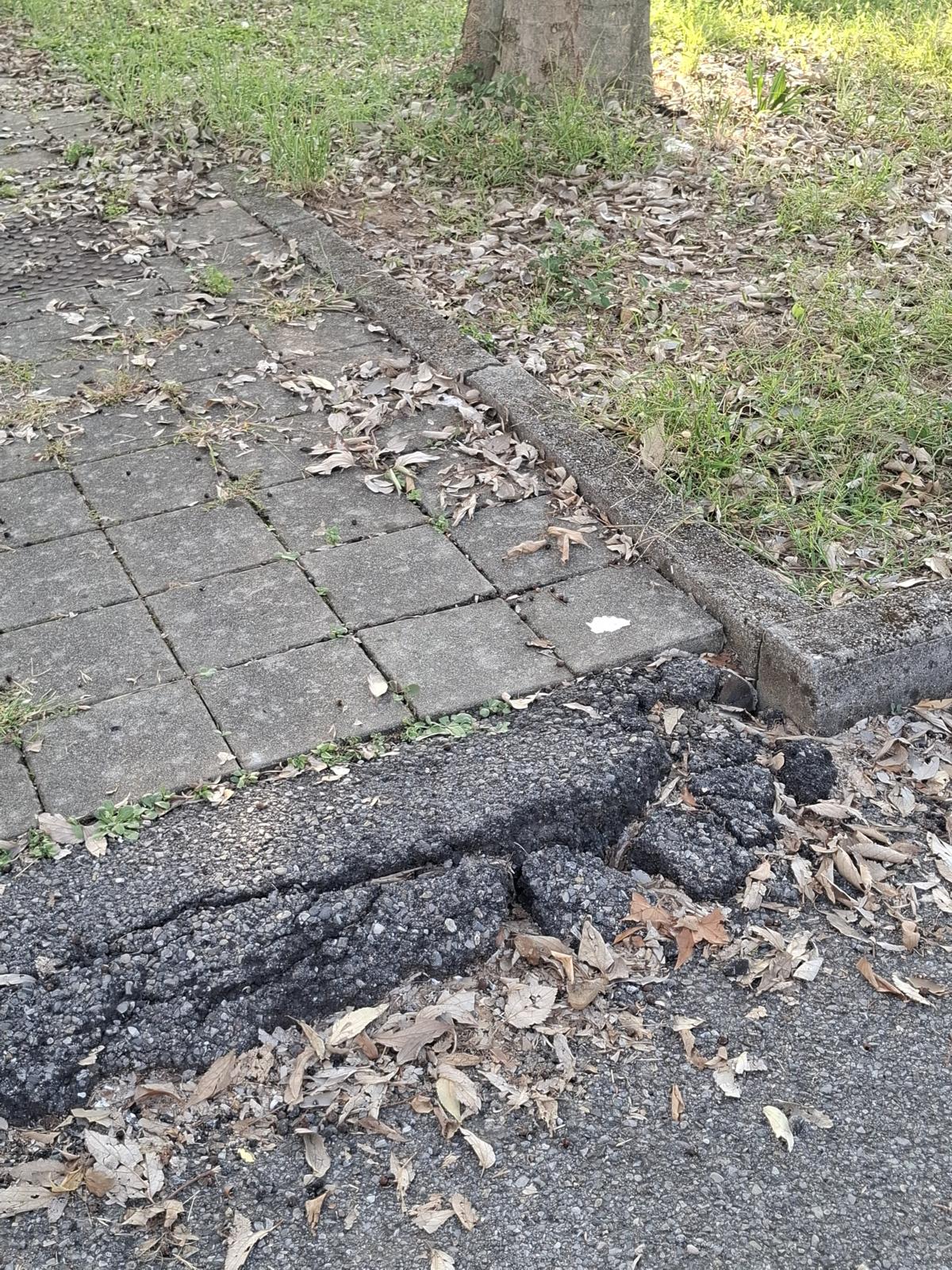 Immagine della segnalazione